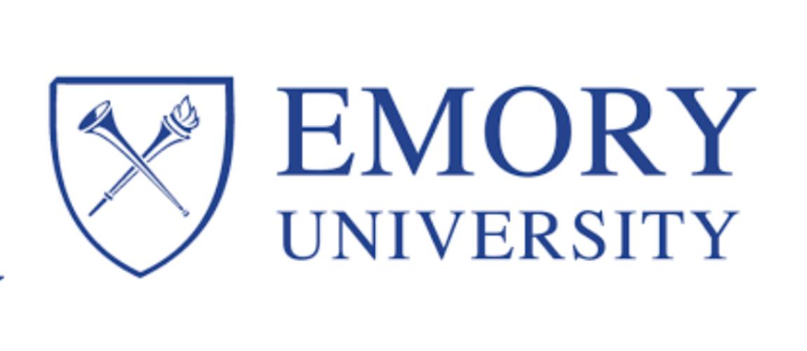 2020 Emory Writing Supplement All College Application Essays
